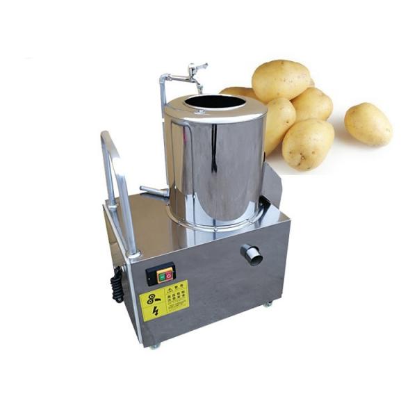 Humanized Design of New Type Potato Cleaning and Peeling Machine (TS-M600)