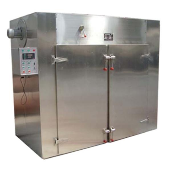 Industrial Hemp Hot Air Continuous Belt Fruit Dryer Vegetable Drying Machine
