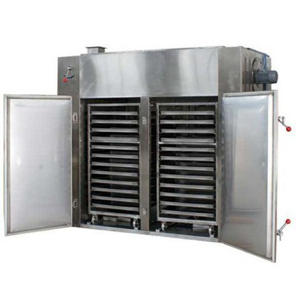 Food Dehydrator Type Industrial Fruit Dryer Machine