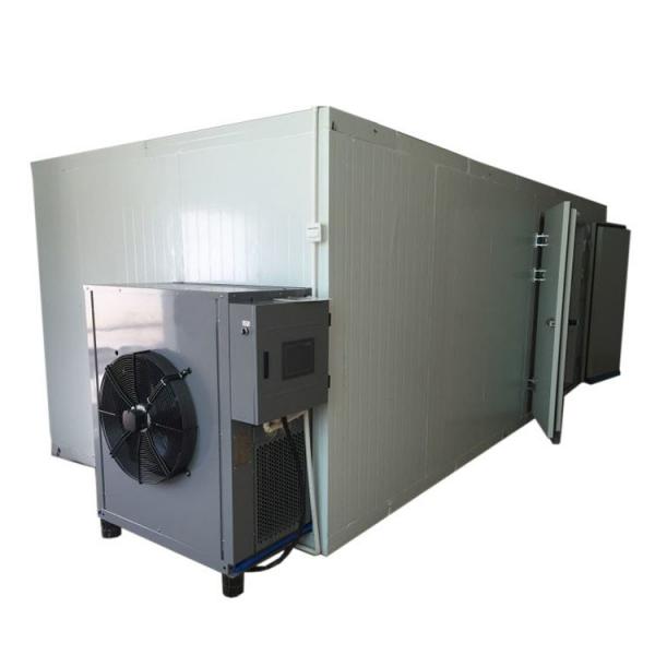 Stainless Steel Fruit Dryer / Fruit Drying Machine