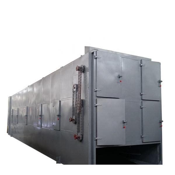 Large Capacity Continuous Hot Air Conveyor Mesh Belt Sawdust Dryer
