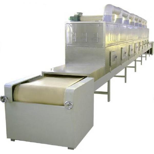 Innovating Continuous Thermal Flexible Drying Solution Mesh Belt Dryer