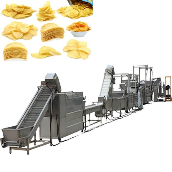 Automatic Fruit Potato Chips Cutting Machine Price Potato Chips Making Machine