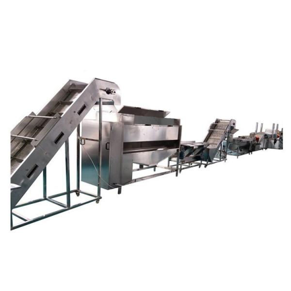 Fried Potato Chips Frozen French Fries Food Machine Production Line